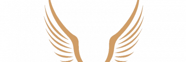 The symbolic meaning of the two-winged Luigi Ricci logo