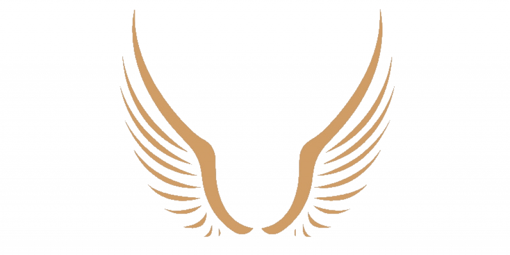 The symbolic meaning of the two-winged Luigi Ricci logo